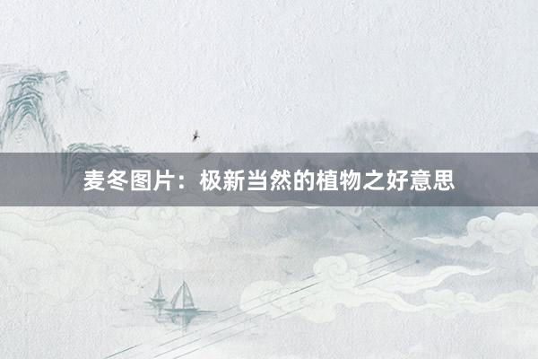 麦冬图片：极新当然的植物之好意思