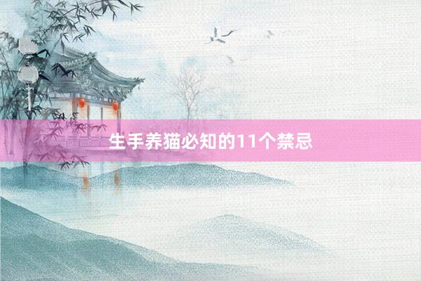生手养猫必知的11个禁忌