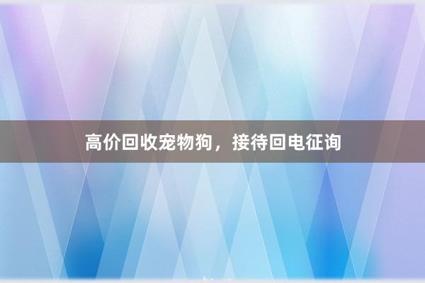 高价回收宠物狗，接待回电征询