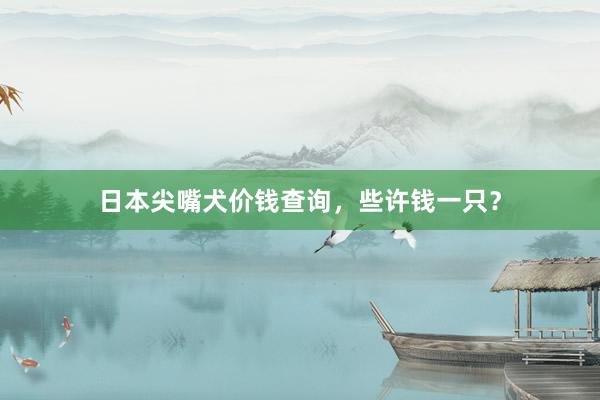 日本尖嘴犬价钱查询，些许钱一只？